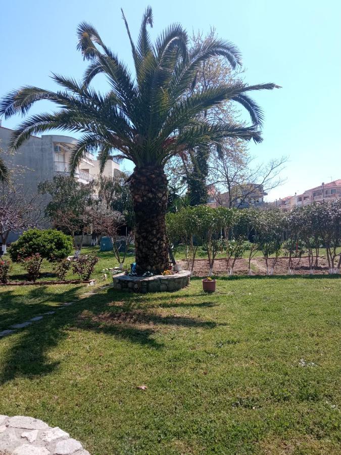 Sofia'S Garden Daire Néa Péramos Dış mekan fotoğraf