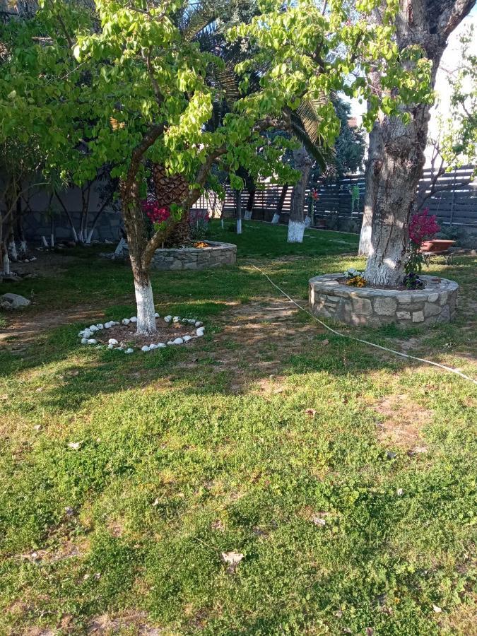 Sofia'S Garden Daire Néa Péramos Dış mekan fotoğraf