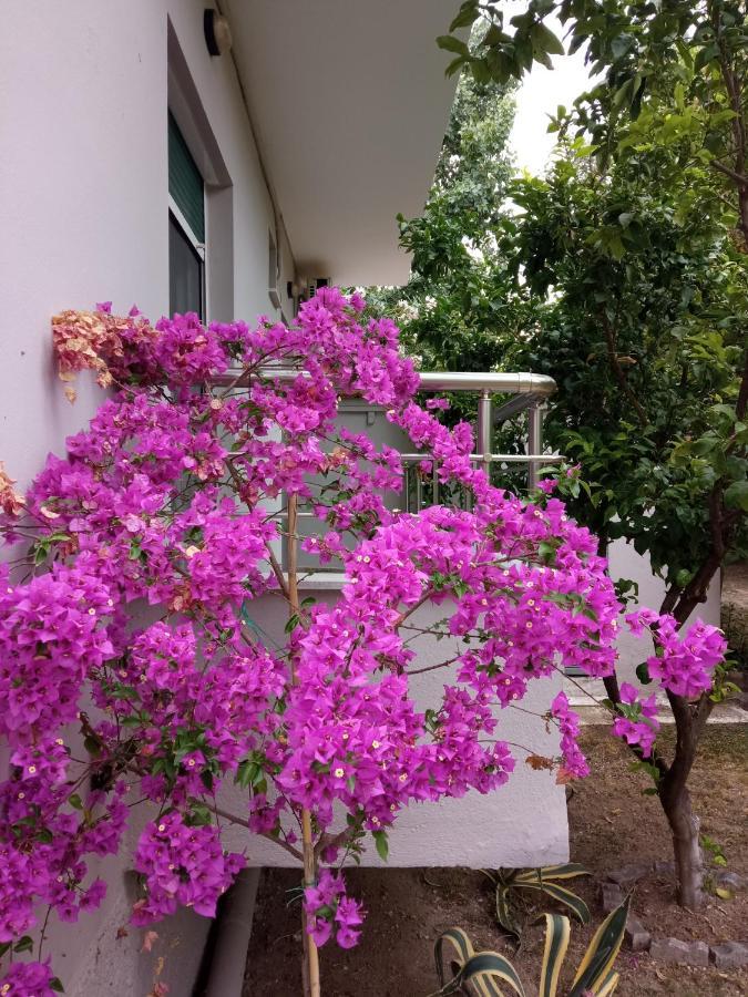 Sofia'S Garden Daire Néa Péramos Dış mekan fotoğraf