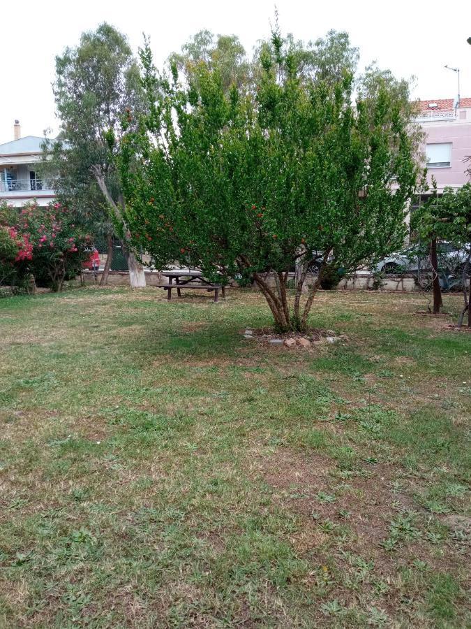 Sofia'S Garden Daire Néa Péramos Dış mekan fotoğraf