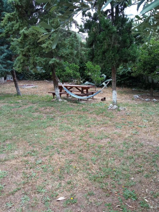Sofia'S Garden Daire Néa Péramos Dış mekan fotoğraf